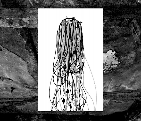 Lauren Lewis Lead Image