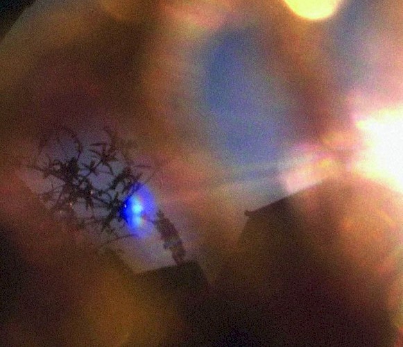 Valentina Temaj Lead Image