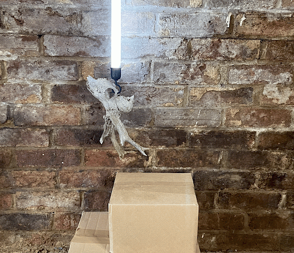 Rachael Girard Lead Image