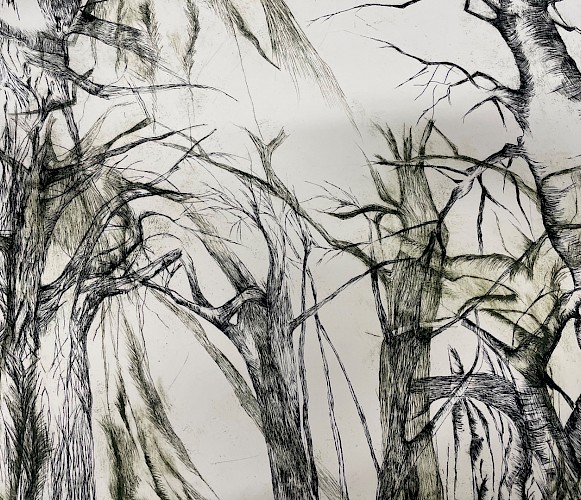 Omema Altaf Lead Image