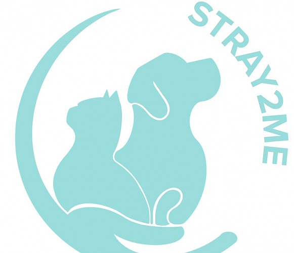 Ziyan Wang Lead Image