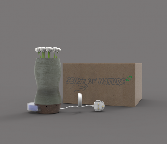 Felicity Johnston Lead Image