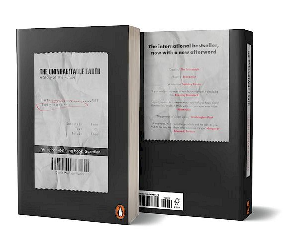 Carrina Rosu Lead Image