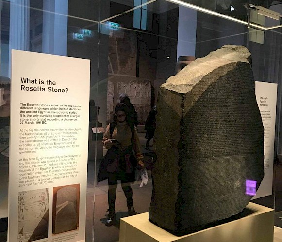 Megan Singleton Lead Image