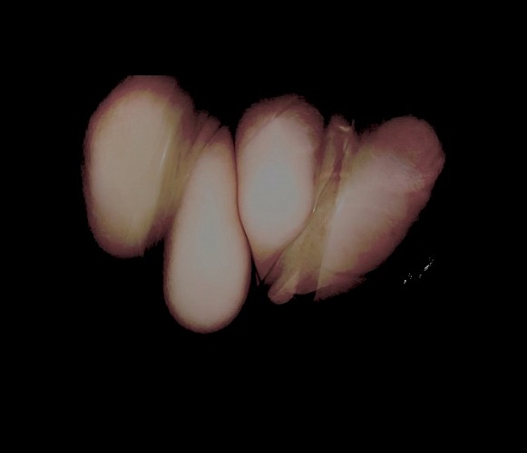 Emily Tanser-Edey Lead Image