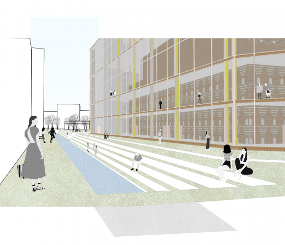 Anisoara Mirt Lead Image