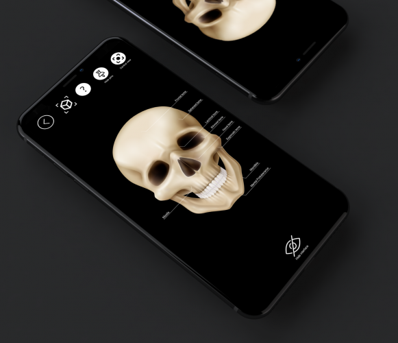 Lidia Popova Lead Image