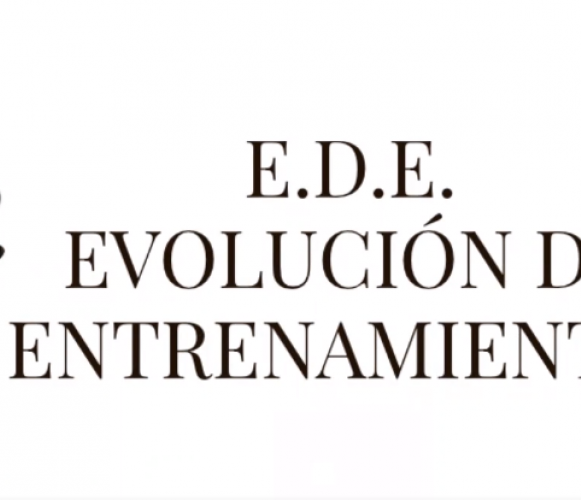 Francesca Battimiello Lead Image