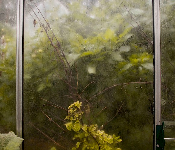 Sophie Nugent Lead Image