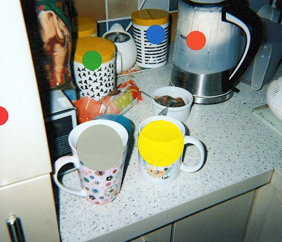 Sophie Kibbler Lead Image