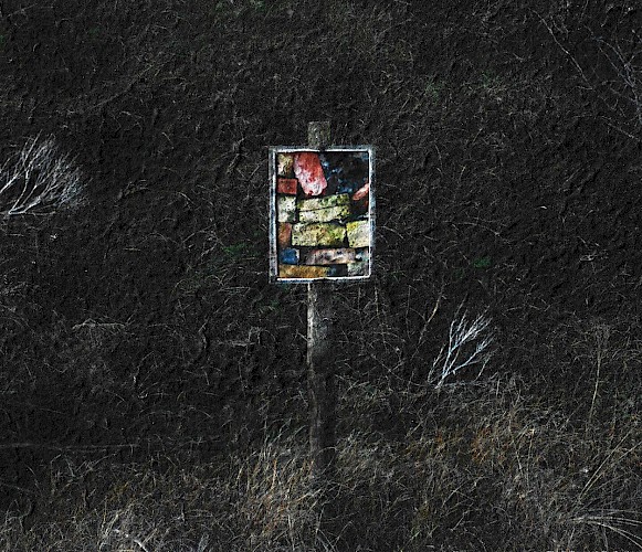 Phoebe Mansfield Lead Image