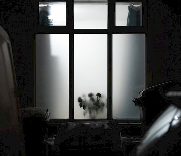 Emma Giordano Lead Image