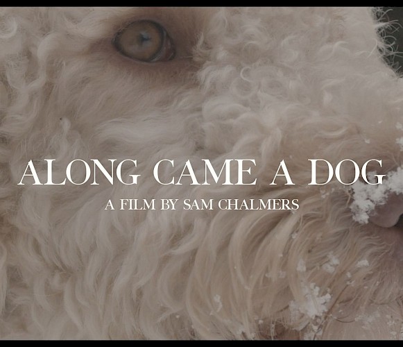 Sam Chalmers Lead Image