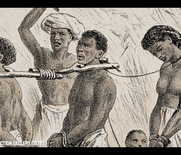 Shannon Maguire Lead Image