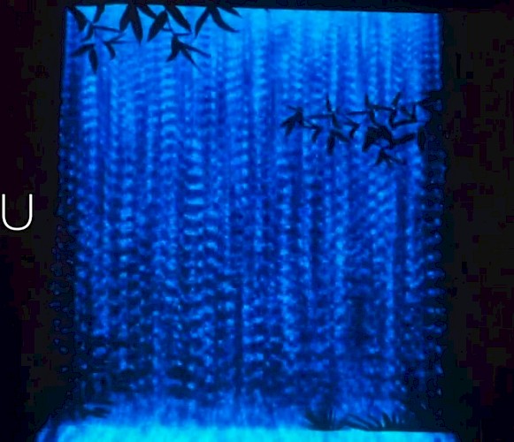 Rhea Gill Lead Image