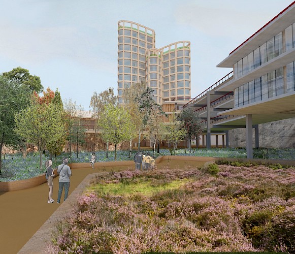 Luke Bird Lead Image