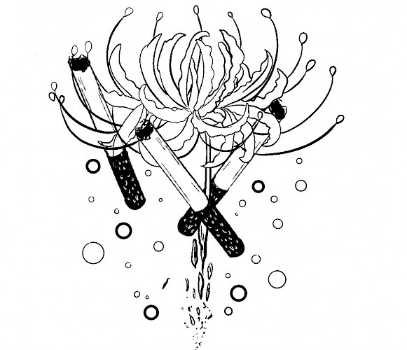 Qingyang Ge Lead Image