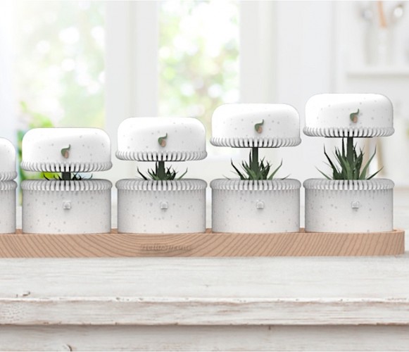 Lucy Bostock Lead Image